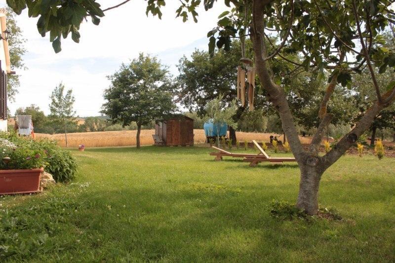 Agriturismo Da Remo Magliano in Toscana Extérieur photo