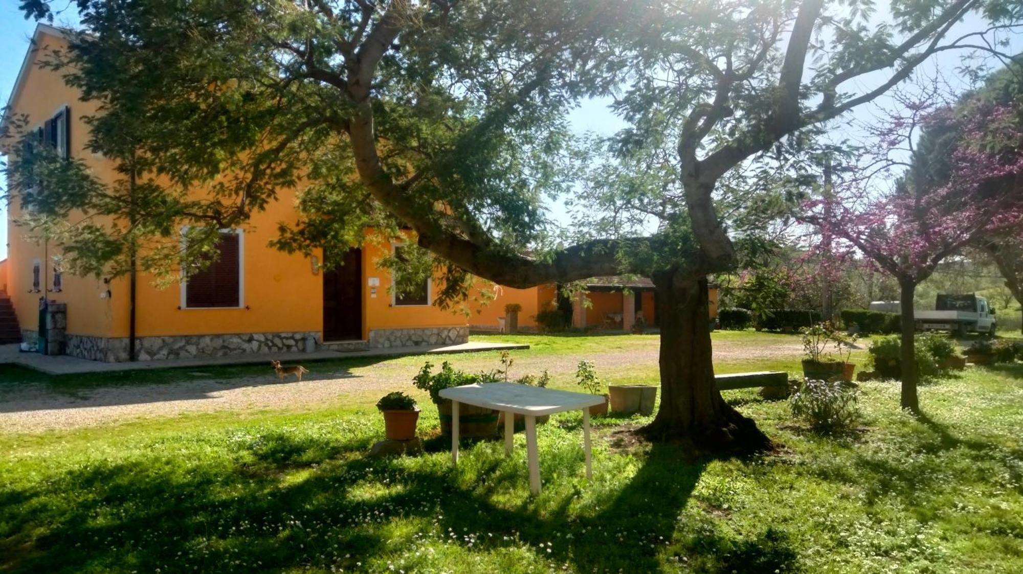 Agriturismo Da Remo Magliano in Toscana Chambre photo