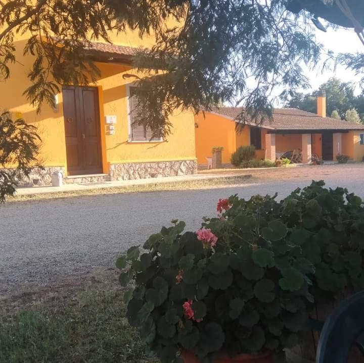 Agriturismo Da Remo Magliano in Toscana Extérieur photo