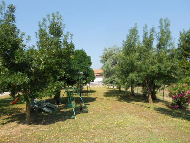 Agriturismo Da Remo Magliano in Toscana Extérieur photo