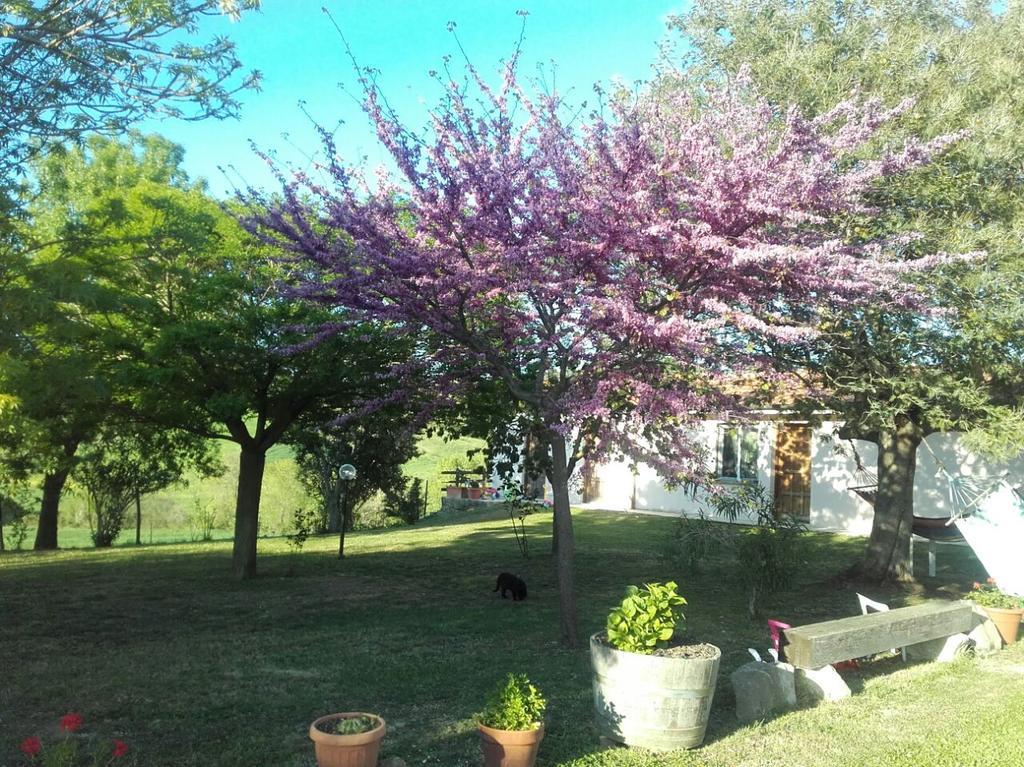 Agriturismo Da Remo Magliano in Toscana Extérieur photo