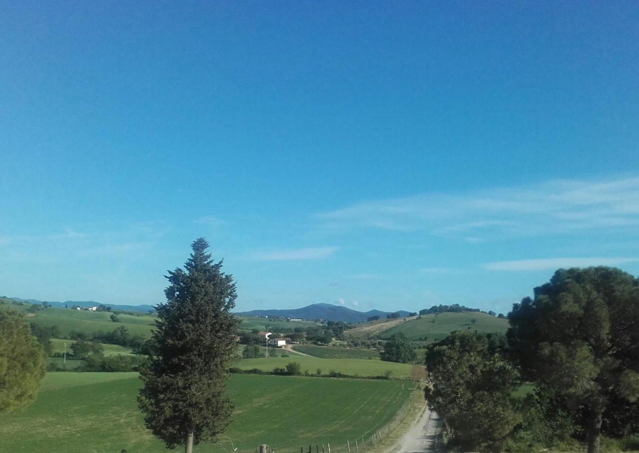 Agriturismo Da Remo Magliano in Toscana Extérieur photo